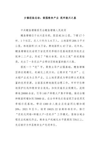 乡镇经验总结：做强粮食产业 筑牢振兴之基