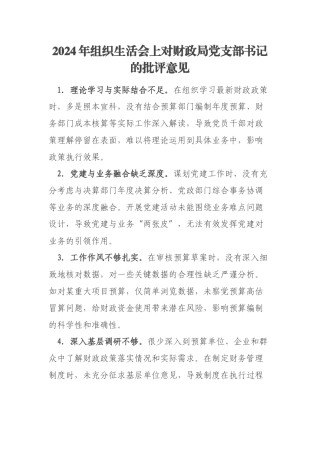 2024年组织生活会上对财政局党支部书记的批评意见