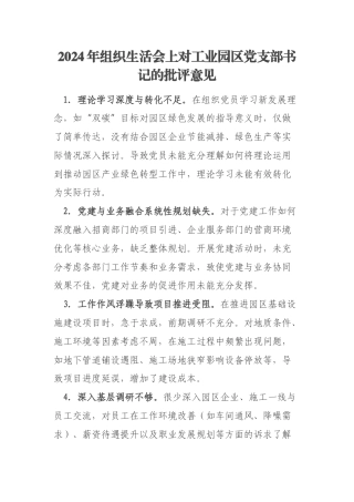 2024年组织生活会上对工业园区党支部书记的批评意见