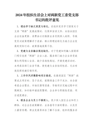 2024年组织生活会上对两新党工委党支部书记的批评意见