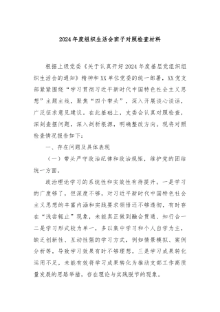 2024年度组织生活会班子对照检查材料