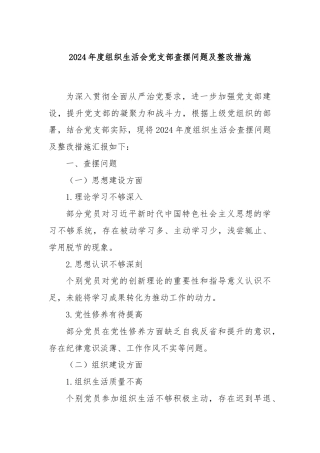 2024年度组织生活会党支部查摆问题及整改措施