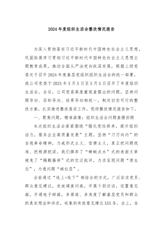 2024年度组织生活会整改情况报告