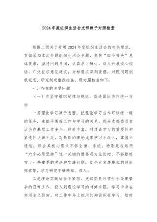 2024年度组织生活会支部班子对照检查