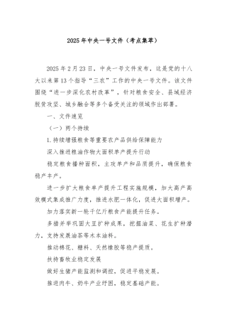 2025年中央一号文件（考点集萃）