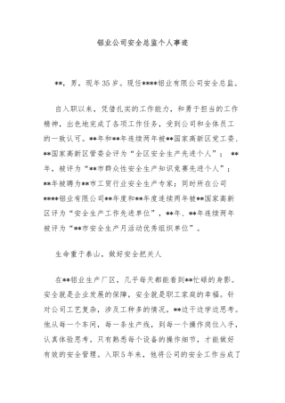 铝业公司安全总监个人事迹