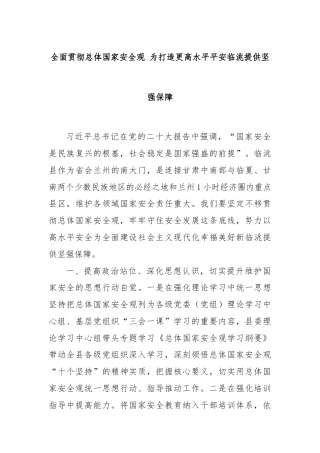 全面贯彻总体国家安全观 为打造更高水平平安临洮提供坚强保障