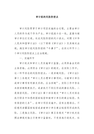 审计组的风险防控点
