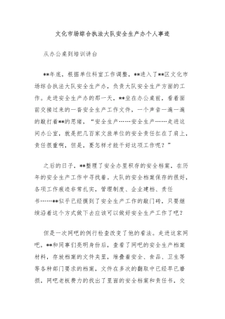 文化市场综合执法大队安全生产办个人事迹