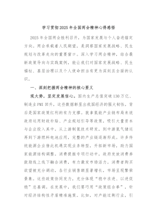 学习贯彻2025年全国两会精神心得感悟