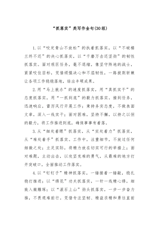 (30组)“抓落实”类写作金句