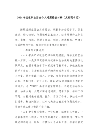 2024年度组织生活会个人对照检查材料（支部副书记）