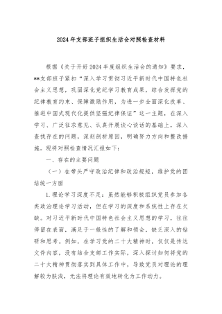 2024年支部班子组织生活会对照检查材料