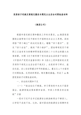 党委班子巡察反馈意见整改专题民主生活会对照检查材料（集团公司）