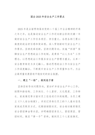 国企2025年安全生产工作要点