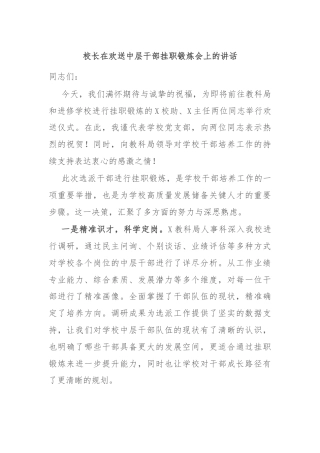 校长在欢送中层干部挂职锻炼会上的讲话