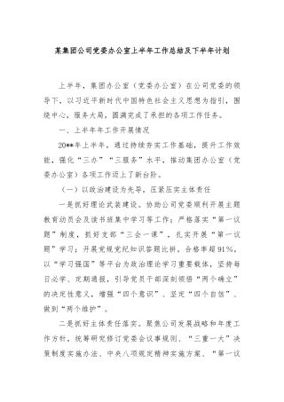 某集团公司党委办公室上半年工作总结及下半年计划