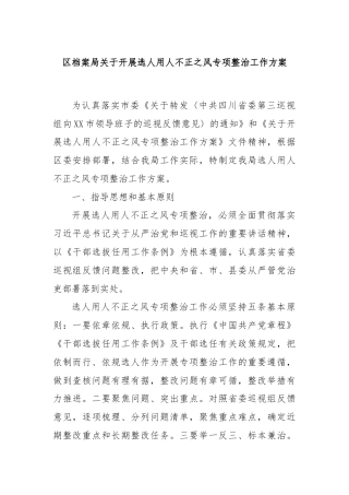 区档案局关于开展选人用人不正之风专项整治工作方案