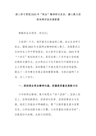 深入学习贯彻2025年“两会”精神研讨发言：凝心聚力担使命踔厉奋发谱新篇