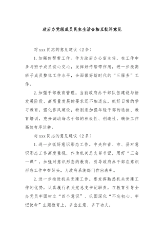 政府办党组成员民主生活会相互批评意见