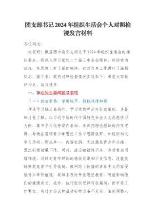 团支部书记2024年组织生活会个人对照检视发言材料