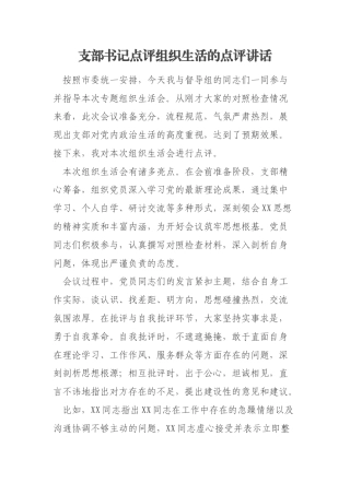 支部书记点评组织生活的点评讲话
