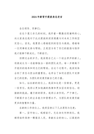 2024年新晋升提拔表态发言