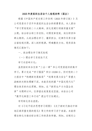 2025年度组织生活会个人检视材料（国企）