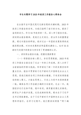 市长专题学习2025年政府工作报告心得体会