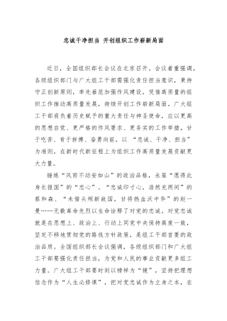 忠诚干净担当 开创组织工作崭新局面