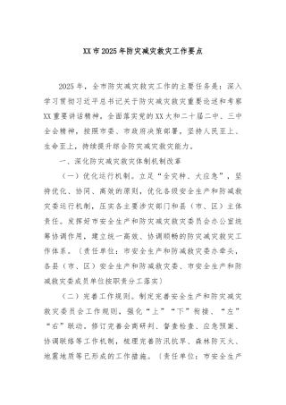 XX市2025年防灾减灾救灾工作要点