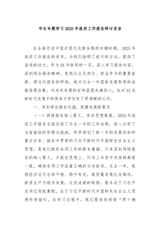 市长专题学习2025年政府工作报告研讨发言