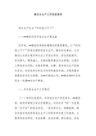 镇安全生产工作经验案例