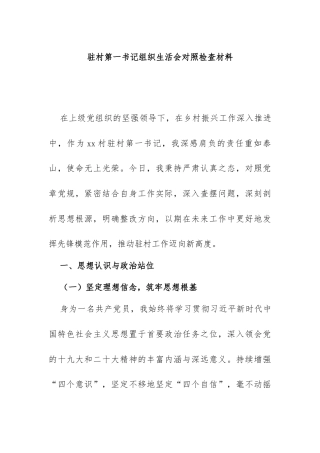 2025驻村第一书记组织生活会对照检查材料