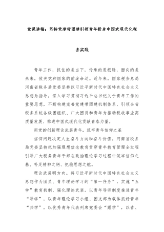 党课讲稿：坚持党建带团建引领青年投身中国式现代化税务实践