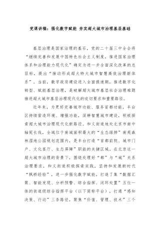 党课讲稿：强化数字赋能 夯实超大城市治理基层基础