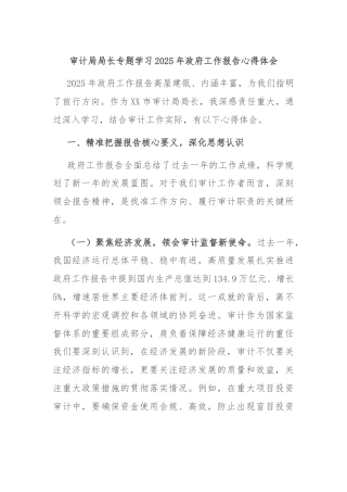 审计局局长专题学习2025年政府工作报告心得体会