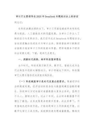 审计厅主要领导在2025年DeepSeek专题培训会上的讲话