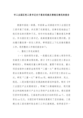 市工业园区党工委书记关于落实巡察反馈意见情况的报告