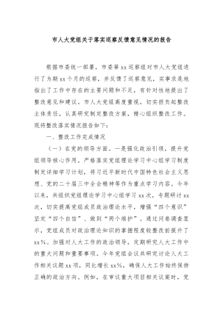 市人大党组关于落实巡察反馈意见情况的报告
