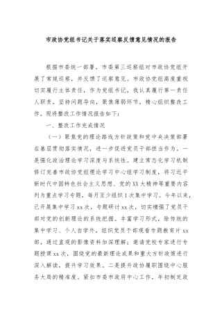 市政协党组书记关于落实巡察反馈意见情况的报告