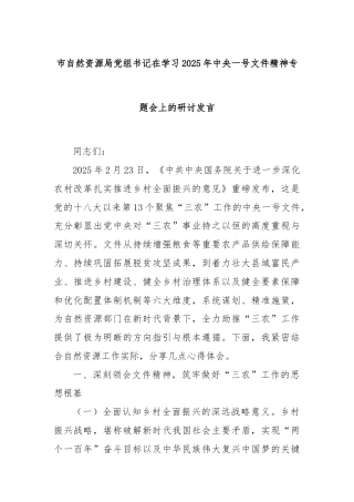 市自然资源局党组书记在学习2025年中央一号文件精神专题会上的研讨发言