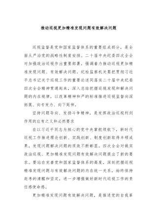 推动巡视更加精准发现问题有效解决问题