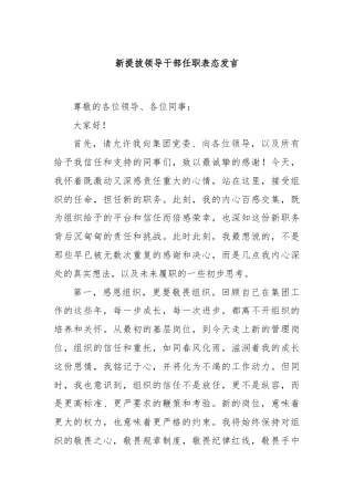 新提拔领导干部任职表态发言