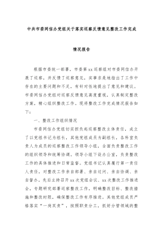 中共市委网信办党组关于落实巡察反馈意见整改工作完成情况报告