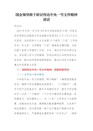 国企领导班子研讨传达中央一号文件精神讲话