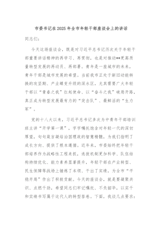 市委书记在2025年全市年轻干部座谈会上的讲话