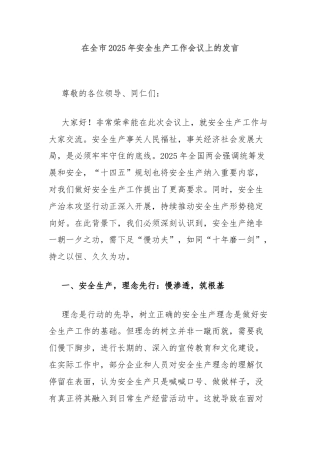 在全市2025年安全生产工作会议上的发言