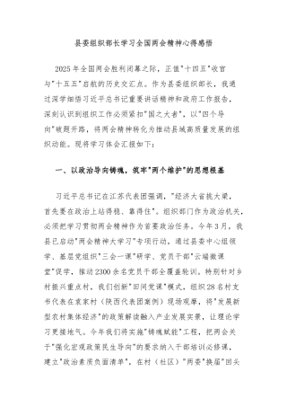 县委组织部长学习全国两会精神心得感悟