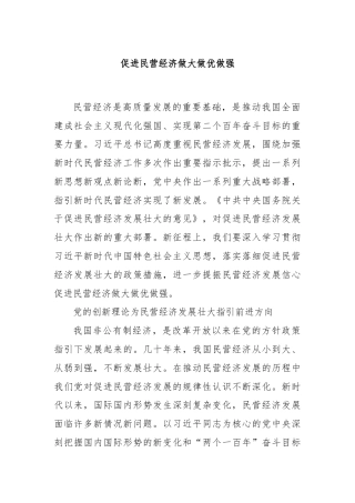 促进民营经济做大做优做强